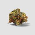 »Cream Caramel« Cannabis-Samen Indica (Auto & Feminized)