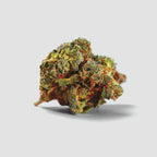 »Cream Caramel« Cannabis-Samen Indica (Auto & Feminized)