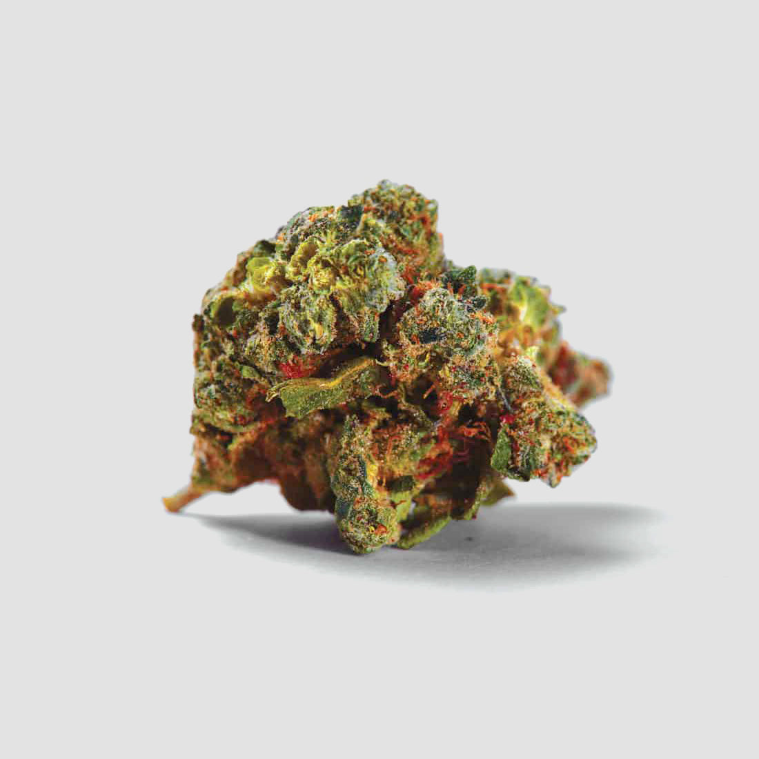 »Cream Caramel« Cannabis-Samen Indica (Auto & Feminized)