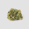 »Gorilla Glue« Cannabis-Samen Hybrid (Auto & Feminized)