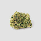 »Gorilla Glue« Cannabis-Samen Hybrid (Auto & Feminized)