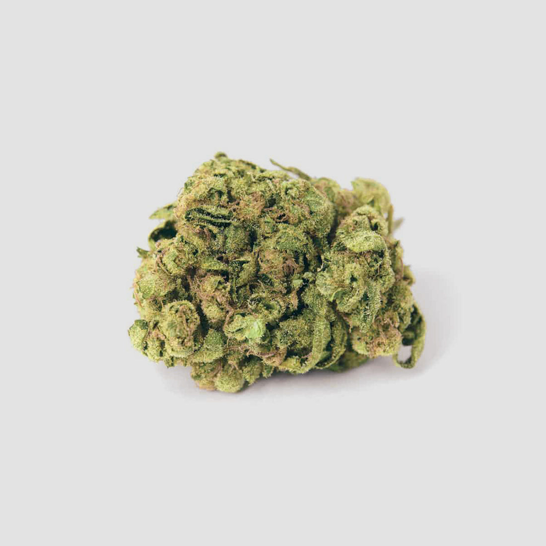 »Gorilla Glue« Cannabis-Samen Hybrid (Auto & Feminized)