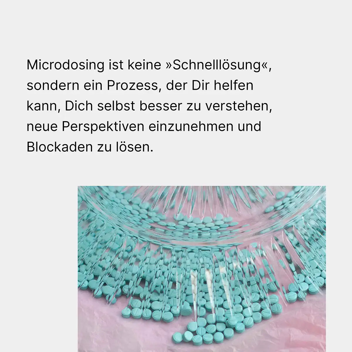 Microdosing Journey (Online-Kurs)
